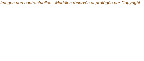 Images non contractuelles - Modèles réservés et protégés par Copyright.